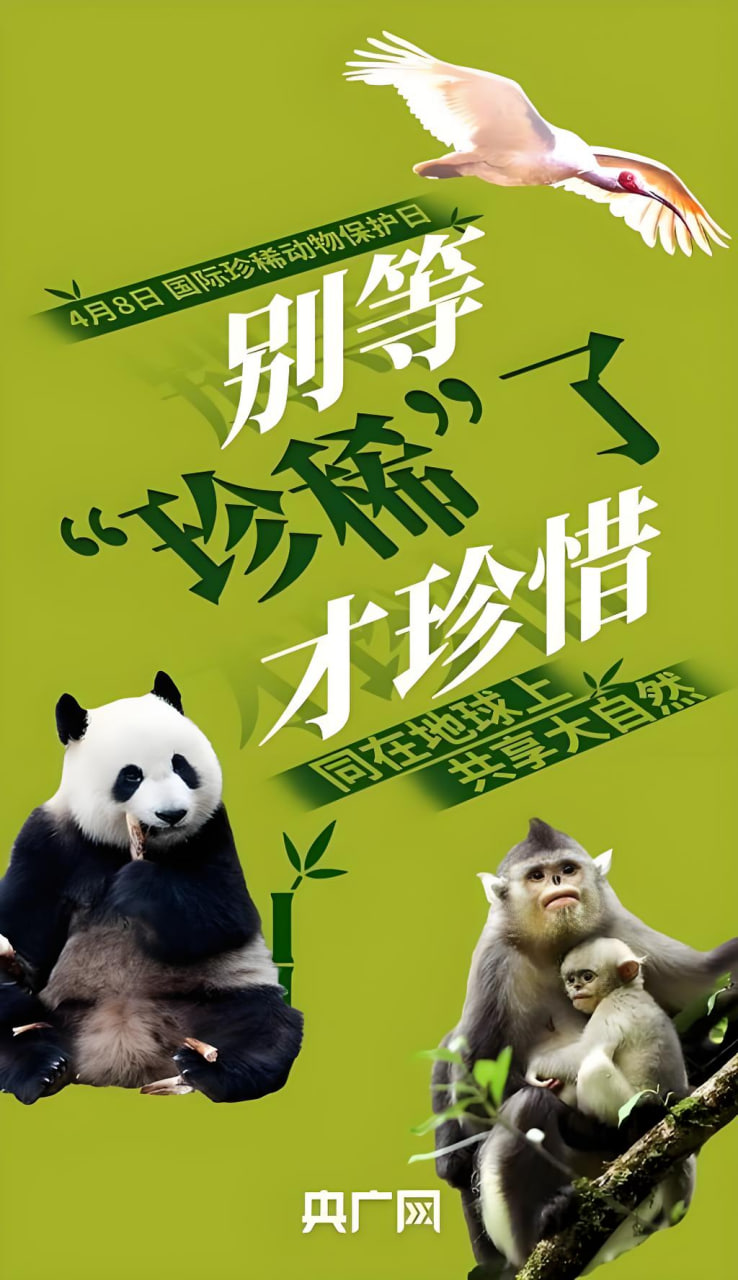 《曼达洛人》
